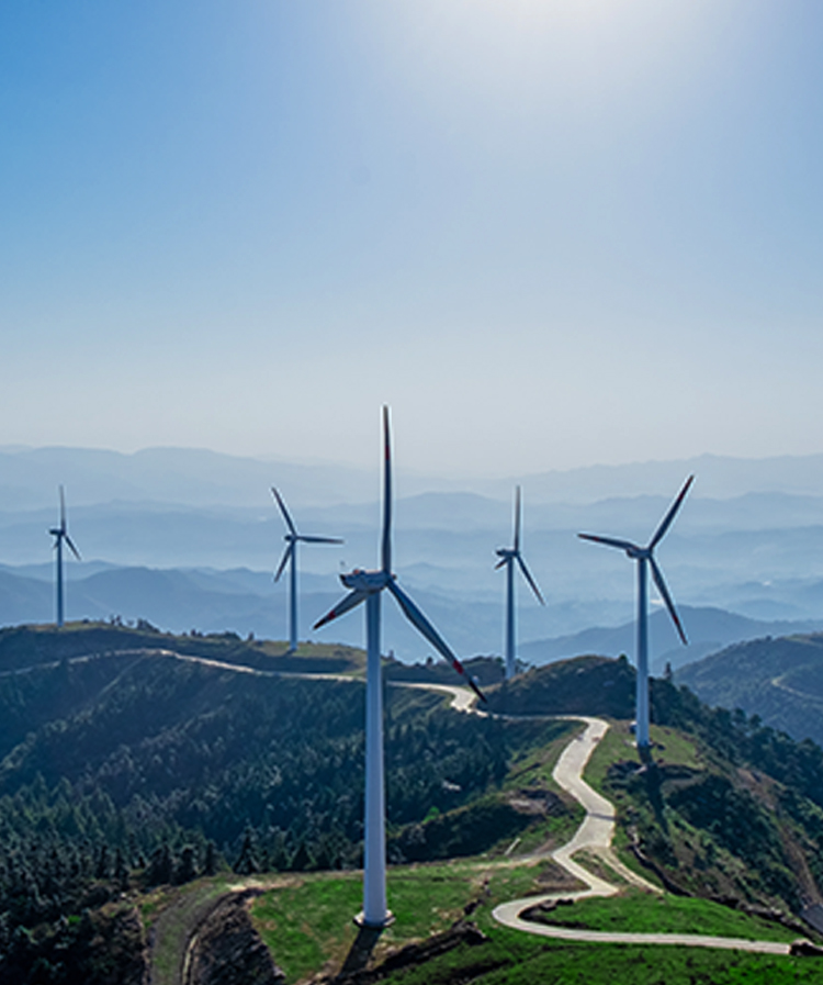 智慧冷链仓储物流解决方案