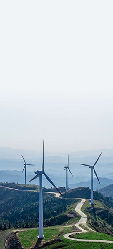 智慧冷链仓储物流解决方案